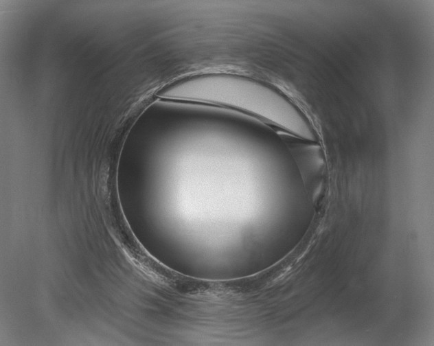 X0000080790201200701051402