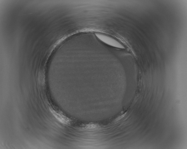 X0000080790204200701051402