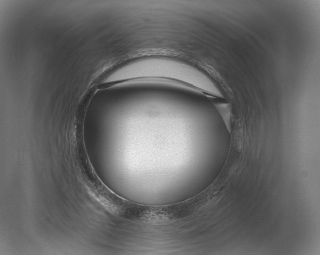 X0000080790207200701051402
