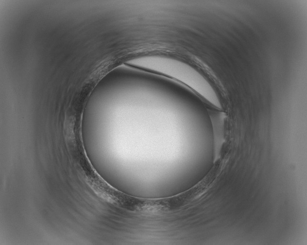 X0000080790209200701051402