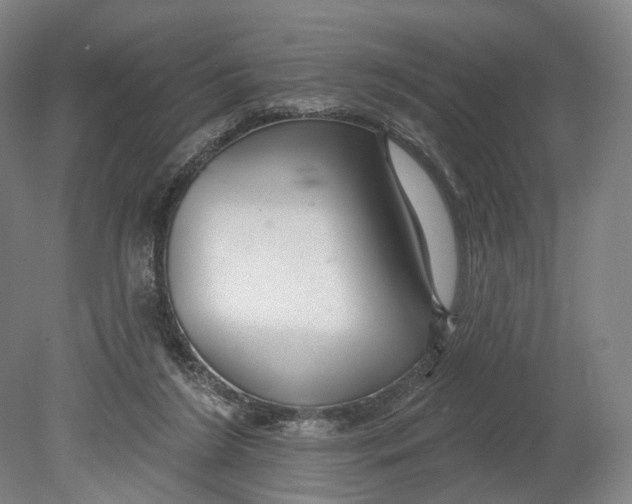 X0000080790212200701051402