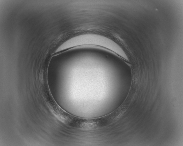 X0000080790213200701051402