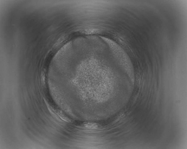 X0000080790214200701051402