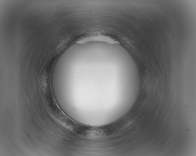 X0000080790215200701051402