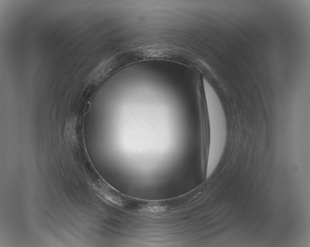 X0000080790217200701051402