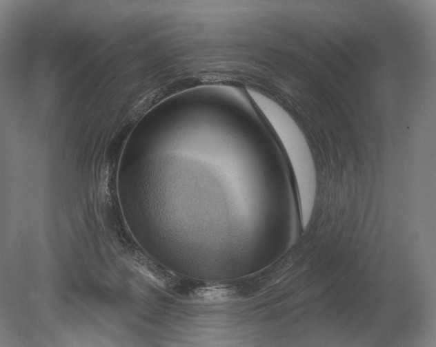 X0000080790219200701051402