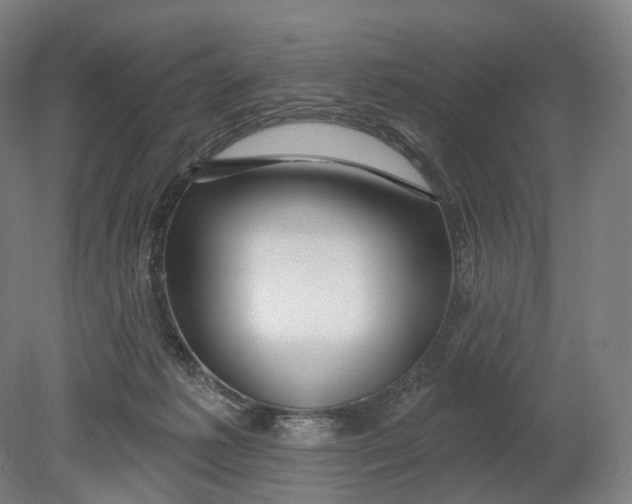X0000080790221200701051402