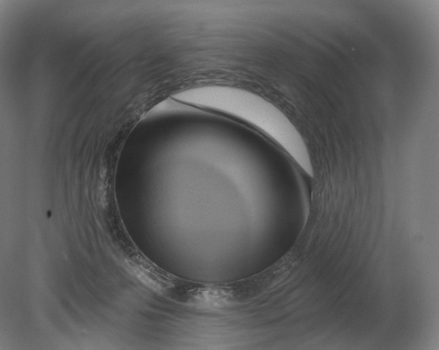 X0000080790223200701051402