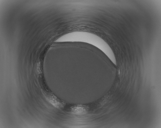 X0000080790224200701051402