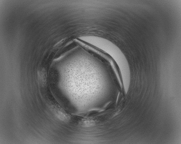 X0000080790228200701051402