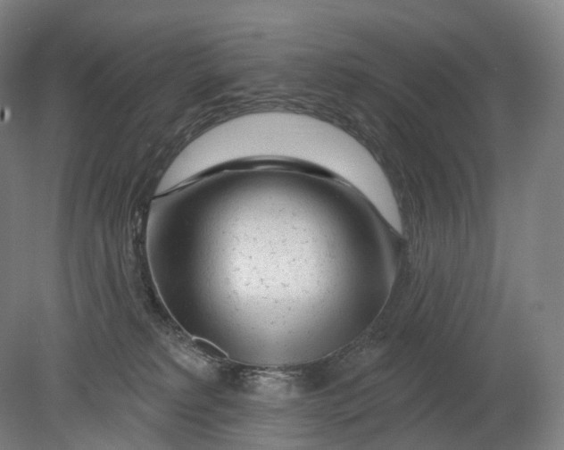 X0000080790229200701051402