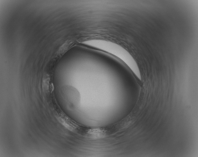 X0000080790231200701051402