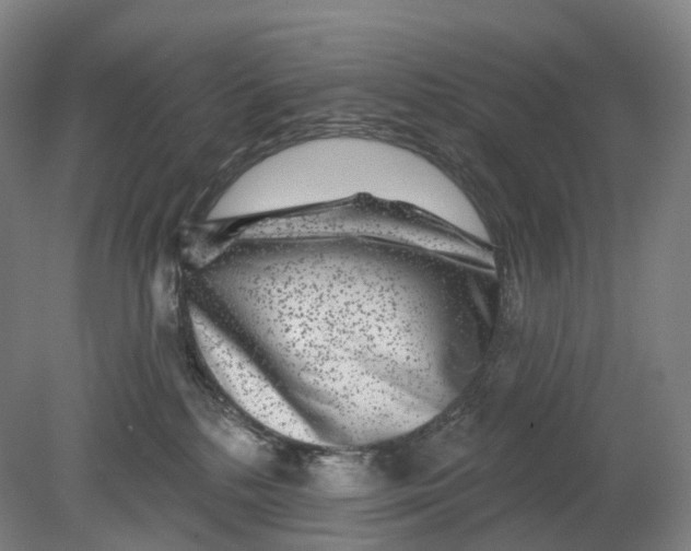 X0000080790232200701051402