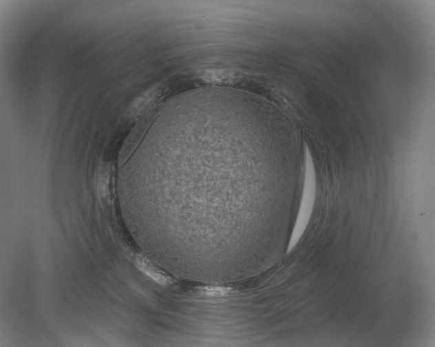 X0000080790233200701051402