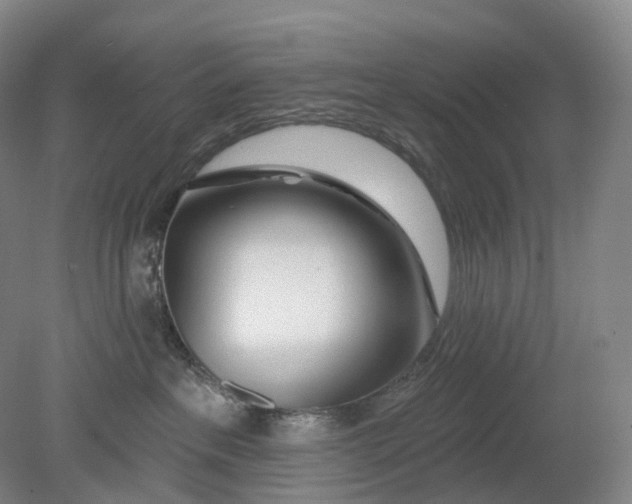 X0000080790237200701051401