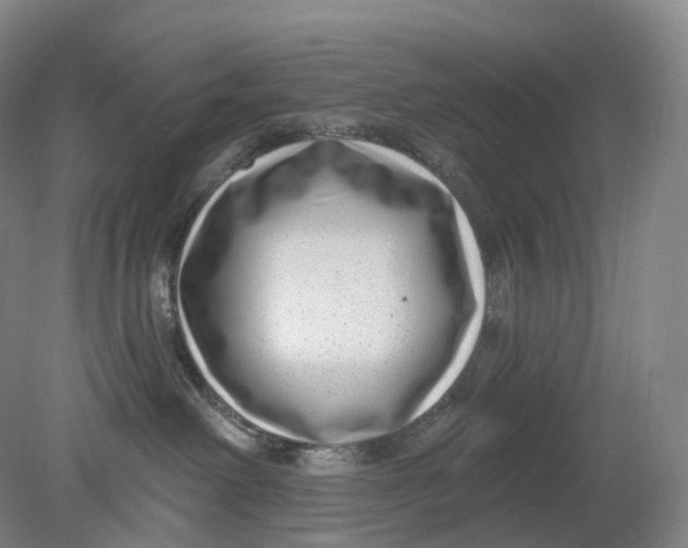 X0000080790238200701051401