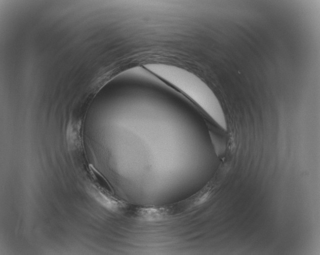 X0000080790239200701051401
