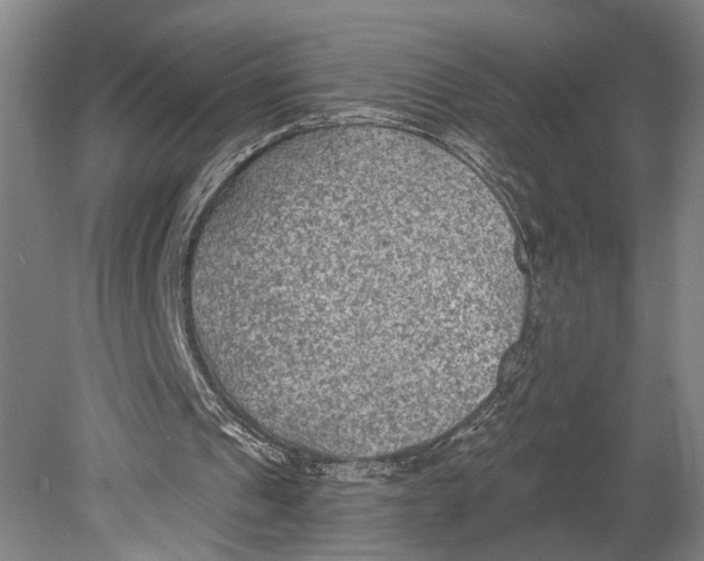 X0000080790241200701051401