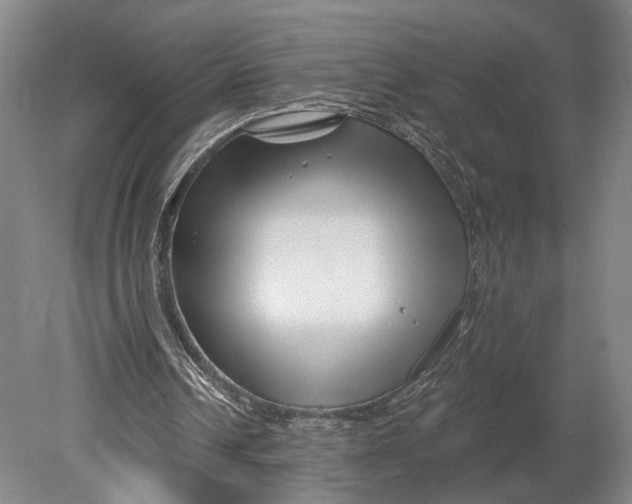 X0000080790242200701051401