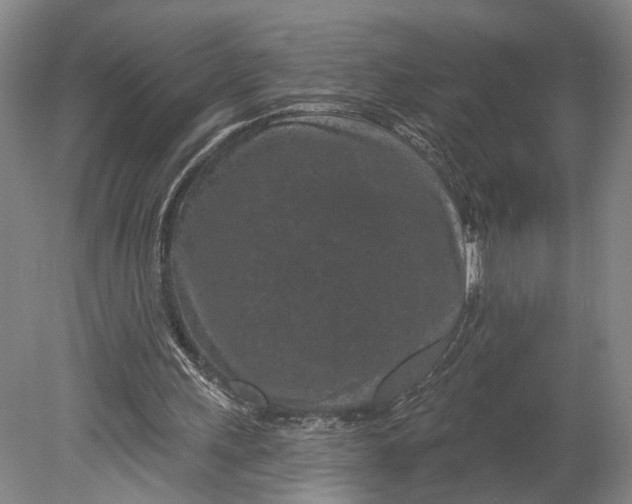 X0000080790243200701051401