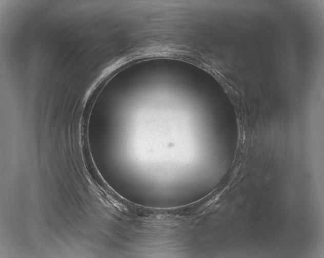 X0000080790244200701051401