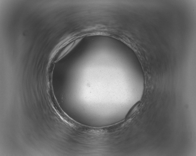 X0000080790245200701051401