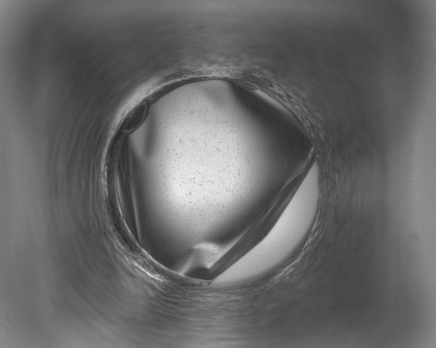 X0000080790246200701051401