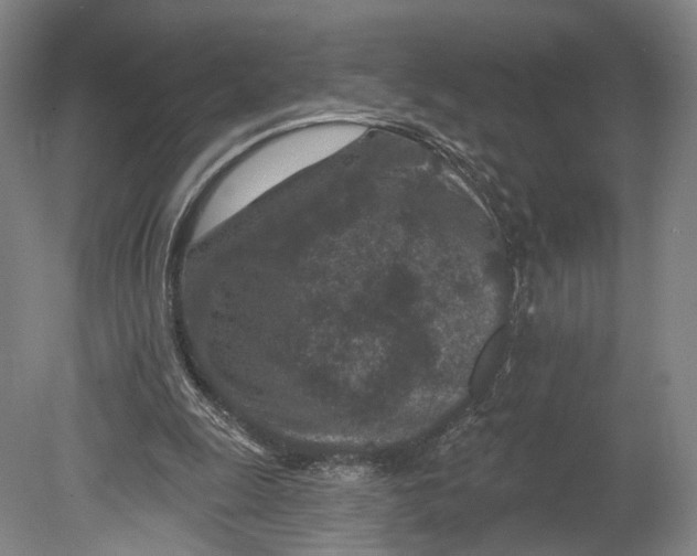 X0000080790247200701051401