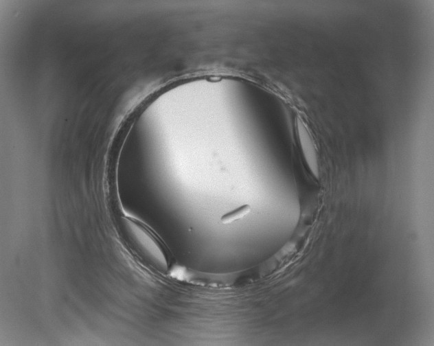X0000080790248200701051401