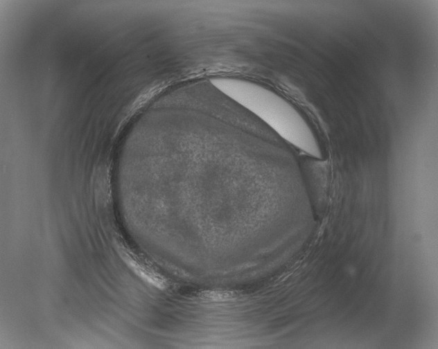 X0000080790250200701051401