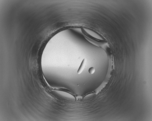X0000080790252200701051401