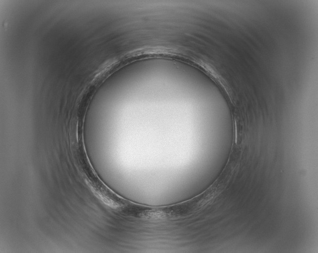 X0000080790253200701051401