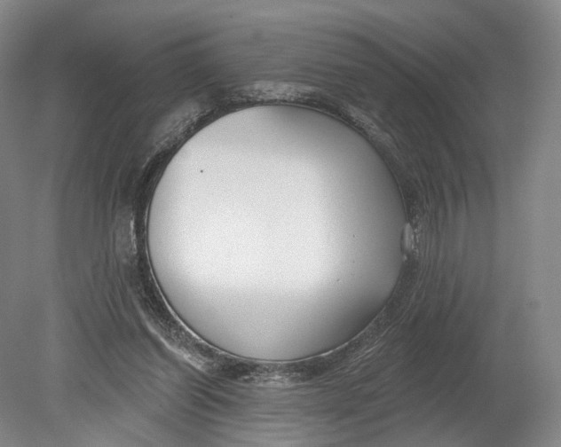 X0000080790254200701051401