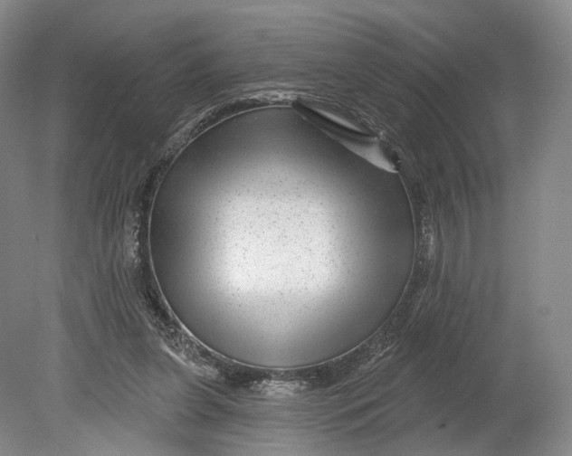 X0000080790255200701051401