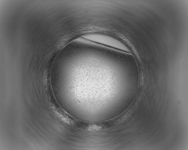 X0000080790257200701051401