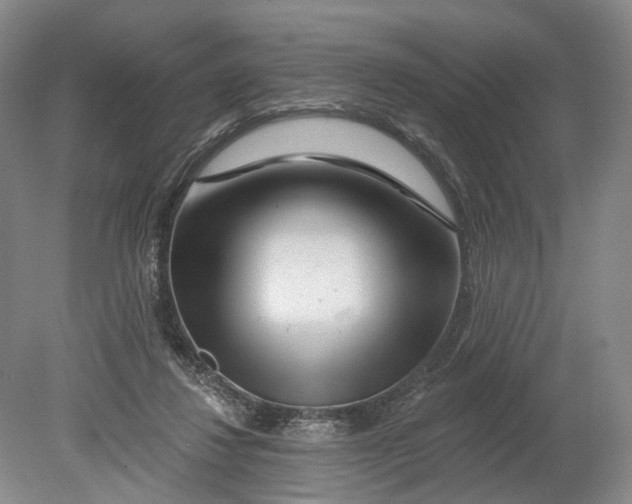 X0000080790260200701051401