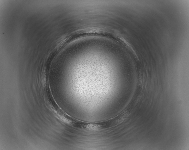 X0000080790261200701051401