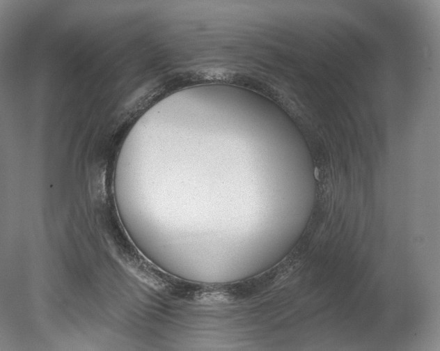 X0000080790262200701051401