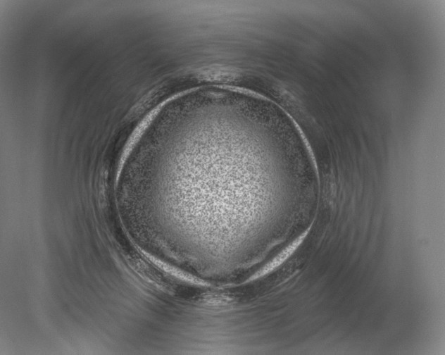 X0000080790263200701051401