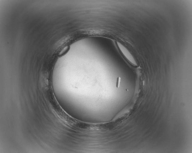 X0000080790264200701051401