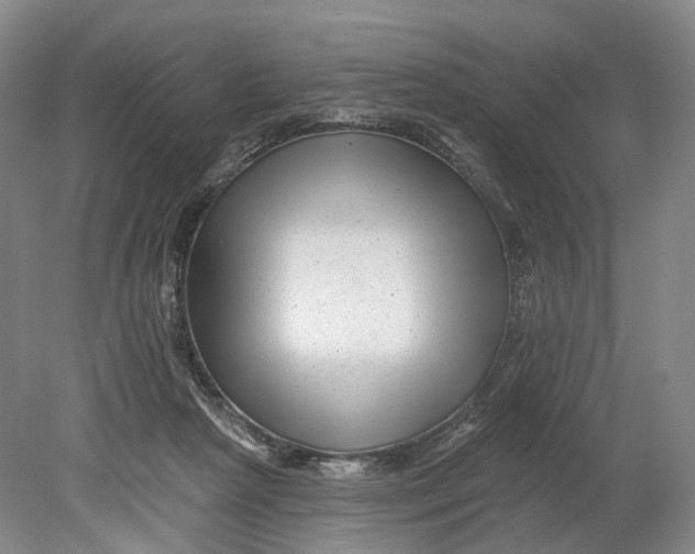 X0000080790265200701051401
