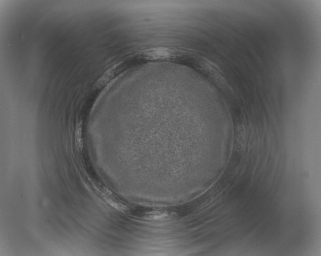 X0000080790267200701051401