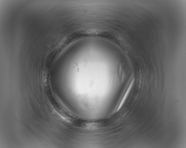 X0000080790268200701051401