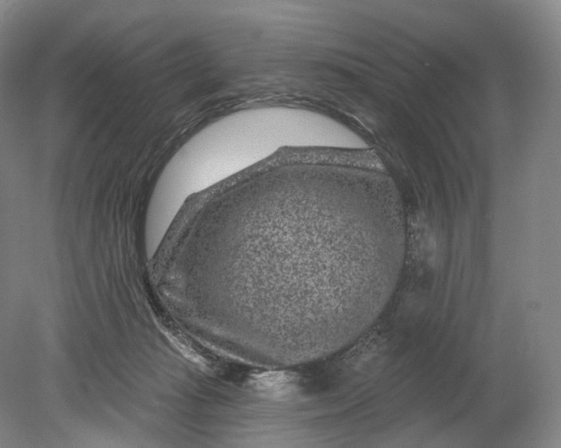 X0000080790269200701051401