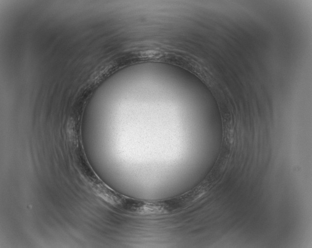 X0000080790270200701051401