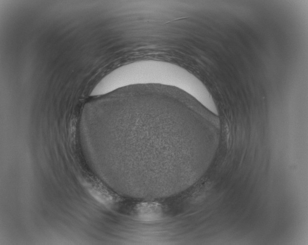 X0000080790271200701051401