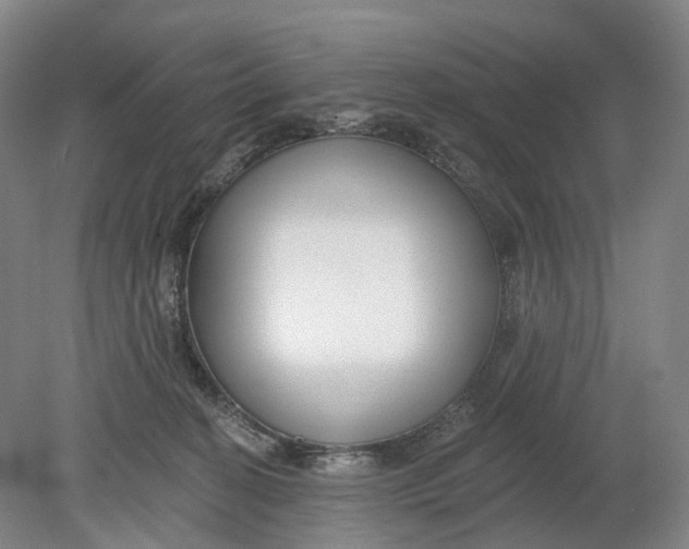 X0000080790274200701051401