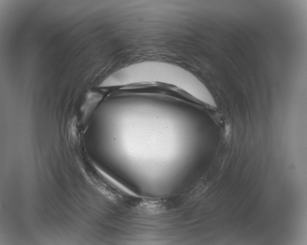 X0000080790280200701051401