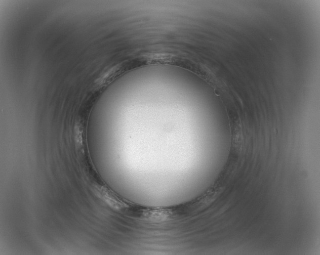 X0000080790282200701051401