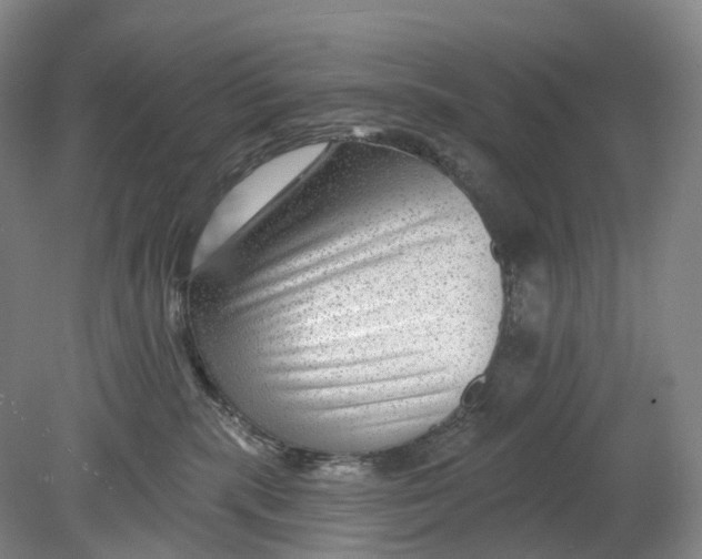 X0000080790283200701051401